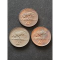3 x Republic 2 Cents 1965 Afrikaans- as per photograph