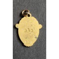 Union Club of SA Enamel Badge 1949 no. 852 - as per photograph