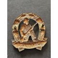 SA Army Infantry (UNITAS) Badge - as per photograph