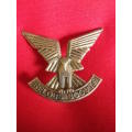 RHODESIA - SELOUS SCOUTS  OFFICERS SILVER  BERET BADGE - SEE MORE COMMENT BELOW  (V161)
