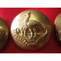 NORTHERN RHODESIA REGT. - 14 X BRASS / ANODISED BUTTONS ALL FIRMIN - OD`S 14/18.5/20/23/25mm  (8222)