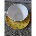 Teacup & saucer with lemon & leaf design By Inoha zest collection, made in France In perfect conditi