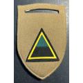 SADF - Infantry Company Tupper Flash