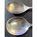 Argyle spoons  x 12