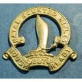 SADF - Natal Mounted Rifles Badge