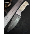 Handmade DAMASCUS Steel Knife, Camel Bone handle scales. Crazy R1 start, No reserve.