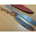 Handmade DAMASCUS Steel Knife, Wooden handle Scales. NEW DESIGN !!!!!!!