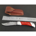 Handmade Damascus steel folding knife with CAMEL BONE handle scales.