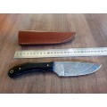 Handmade Damascus steel HUNTING  knife with BULL HORN handle scales. NEW STOCK !!!