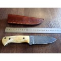Handmade Damascus steel HUNTING  knife with Camel Bone handle scales. New Stock !