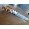 Handmade Damascus steel HUNTING  knife with RAM HORN handle scales. NEW STOCK!! !