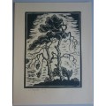 Windswept Trees Linocut by Gregoire Boonzaier Dated 1979