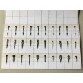 Assorted hour & minute hands for watch - 30 pieces - #11