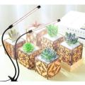 20W USB LED Grow Light Plant Lights for Indoor Plants Full Spectrum