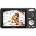 Sony Cyber-Shot DSC W350 - 14.1MP - 4x Zoom - Digital Camera