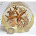 NOVELTY ART* SEA SHELLs+ Underwater Treasures Wrapped  in Resin *LARGE Weight 814 grams
