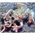 Necklace - FROG Crystals pendant has  colour Eye + web feet Silver Tone metal