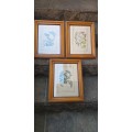 Set of 3 Framed Botanical Prints