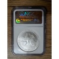 2007 SILVER EAGLE 1 oz fine silver 1$