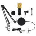 Condenser Microphone Kit Unboxed