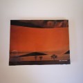 Shadows of Sand, A Photo-document of  Namib Desert Dunes by Colin Mead ``SIGNED``