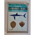 GUIDE TO THE SHARKS AND RAYS OF SOUTHERN AFRICA - F J V COMPAGNO, D A EBERT, M J SMALE