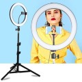 Selfie Ring Light with Cellphone Holder 26CM Ring Light With 1.6M Triopd