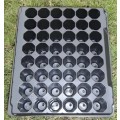 SEEDLING TRAYS 48 DIVISION - 40  SEED TRAYS