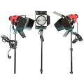 3X 800W 110V Red Head Studio Continuous Lighting Kit + Tripods + Carry Bag + Spare Bulbs