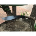 KUKRI CONDOR FROM SOUTH AMERICA
