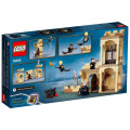 LEGO® Harry Potter First Flying Lesson 76395 (Discontinued Set)