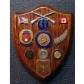 Various Rifle Association Badges