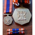 Pro Patria Medal With Miniature Fix Type
