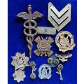 Various SADF Badges & Ranks