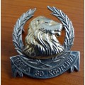 Suspected the abomination of desolation Bop Cap Badge
