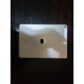 iPad Air (1st Gen)