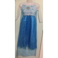 Frozen Elsa Dress Costume