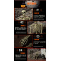Halloween 150cm/1.5m full skeleton
