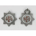 Lot Auxiliary Fire Service and National Fire Service badges