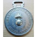 Rare Italian East Africa campaign medal 10th Grenadier Brigade of Savoy 1936
