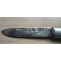 Antique Victorian silver hallmarked fruit knife by James Fenton of Sheffield 1894