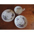 ROYAL ALBERT FLOWER OF THE MONTH TRIO - FEBRUARY (VIOLETS)