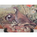 ROYAL GRAFTON LIMITED EDITION PLATE 1987 - "RED-LEGGED PARTRIDGE" - BOXED