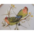 HERITAGE COLLECTION BEAUTIFUL BIRDS OF SOUTH AFRICA'S WILDS - ROSY FACED LOVE-BIRD