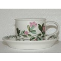 Portmeirion Cup and Saucer `Rhododendron`