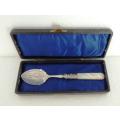 Mother of Pearl Jam Spoon - Cased