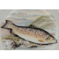 Portmeirion The Compleat Angler Dinner Plate - No 4 Gillaroo Irish Sea Trout