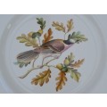 Spode `Canada Jay` Display Plate