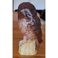 Royal Doulton Decanter `Tawny Owl`