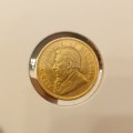 1896 ZAR gold halfpond